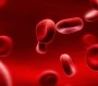 Scientists Discover Bt Toxins Found In Monsanto Crops Damage Red Blood Cells | Collective-Evolution